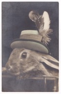 Zając Królik w kapeluszu uczłowieczony ok.1915r. Kolorowana 664r