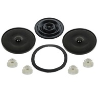 Zestaw naprawczy pompy PILMET P-60 Opryskiwacz