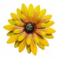 Metalowy kwiat ________________ średnica 30 cm