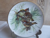 Tirschenreuth Ptaki U.Band Bradex Zniczek zwyczajny