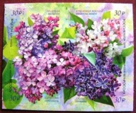 Rosja - Mi 2546/49 - Kwiaty bzu