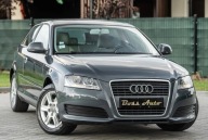 Audi A3 3-drzwiowe 1.6TDI 105KM DsG Skora Climatron Alu Po Serwisie Gwaran