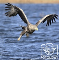 Wyprawa FOTOŁOWY Bieliki grają z WOŚP!