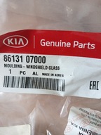 8613107000 Listwa ozdobna/ochronna przedniej szyby