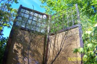 Kruszyna platan wiąz buk miłorząb dąb azalia inna