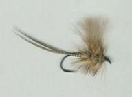 Sucha muszka OLIVE QUILL CDC - #12; 14