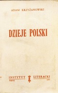 Dzieje Polski - Andrzej Krzyżanowski