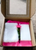 Raypath Face Glove Mydło Białe Zestaw Pielęgnacyjny Nanosrebro Demakijaż