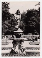 ŁÓDŹ FONTANNA PARK SIENKIEWICZA 1962 S.1000 /Ł12