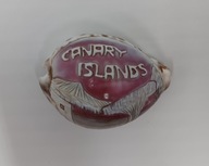 Canary - Wyspy Kanaryjskie prawdziwa muszla rzeźbiona - idealna na prezent