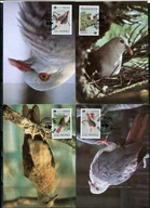 A51592)WWF-Maximum Karty Ptaki: Mauritius 609 - 612