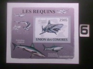 Ryby , rekiny , Komory , MNH cięty
