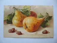 MARTWA NATURA GRUSZKI przedwojenna POCZTÓWKA