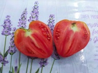 Pomidor Kubuś Puchatek czerwono-malinowe serce nasiona kolekcjonerskie