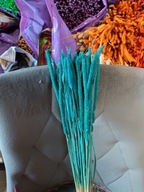 tymotka naturalna niebieskim morskim suszona susz zboże bukiet na palmy