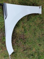 Błotnik przedni lewy VW Arteon 3G8 17-24 LC9A