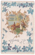 Kobieta z chrustem brzozy jezioro niezapominajki 1912r LITOGRAFIA Tłoczona