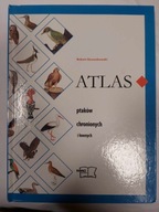 Atlas ptaków chronionych i łownych R. Dzwonkowski