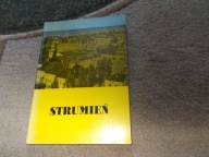 Strumień k. Pszczyna Cieszyn Skoczów