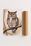 Plakat bez ramy 50x70 cm Sowa na gałęzi nowoczesna dekoracja ścienna