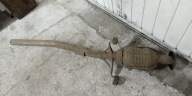 TOYOTA RAV4 II 2.0 D4D KATALIZATOR PEŁNY ORYGINALNY AA7