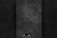 210x310 ręcznie malowane tło fotograficzne PRZECENA WADA