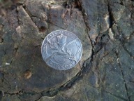 Odznaka pułkowa Strzelec Wyborowy