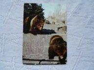 WARSZAWA ZOO MISIE PIECZĄTKA Z MUZEUM LEGIONOWO