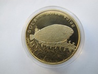 10 złotych rybek Mennica Kresowa sola