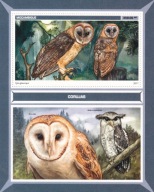 Mozambik 2017 cena ** 11,50 zł kat.6€ - ptaki, sowy, blok