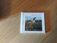 WALTER TROUT-COMMON GROUD CD