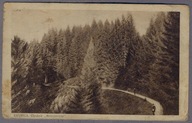 KRYNICA 1928r. Chodnik Mravincicsa f468
