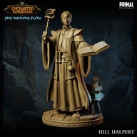 Wizard Hill Halpert - UK - figurka RPG DnD D&D - druk 3D 14K