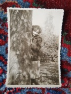 PRL kobieta drzewo Łódź 1953 (1730d)