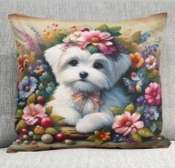 Poduszka 40/40cm Maltańczyk Maltese