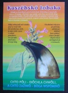 Pocztówka > Kaszuby ~ tabaka - opis dziejów w języku kaszubskim