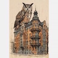 Sowa na budynku obraz na płótnie 55x80 szkic kamienica miasto brązowy art