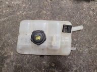 ZBIORNICZEK WYRÓWNAWCZY MEGANE IV 217104048R