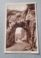 Złotniki Lubańskie Goldentraum Leśna Marklissa rzadkość