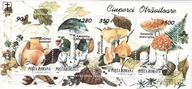 Rumunia 1994 kasowany cena 4,40 zł kat.2€ - grzyby