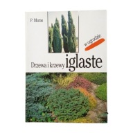 Drzewa I Krzewy Iglaste W Ogrodzie Piotr Muras