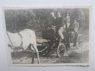 bryczka zaprzęg koń (1519a)