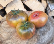 Pomidor Semireche Vishnevyi Anto kolekcjonerskie nasiona pomidorów