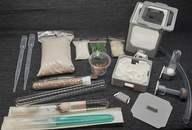 Zestaw startowy do hodowli mrówek + mrówki Camponotus nicobarensis