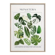 "Zielony Świat Monstery" – Minimalistyczny Plakat Botaniczny