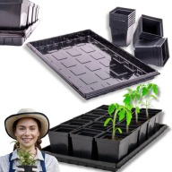 DONICZKI DO ROZSADU POMIDORÓW X15 PLASTIKOWE PRODUKCYJNE WYSOKIE PODSTAWKA