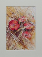 Akwarela pt. Maki wśród zbóż