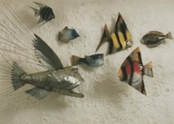 zdjęcie JÓZEF WILKOŃ RYBY reprodukcja BESTIARIUM WILKONIA