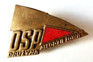 Odznaka - OSP Drużyna Młodzieżowa