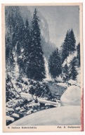 Tatry Dolina Kościeliskiej 1950r. Czytelnik Foto Falkowski